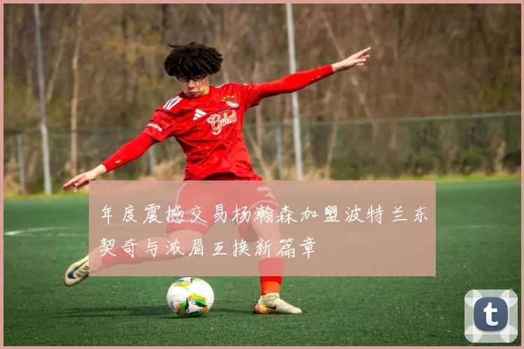 年度震撼交易杨瀚森加盟波特兰东契奇与浓眉互换新篇章