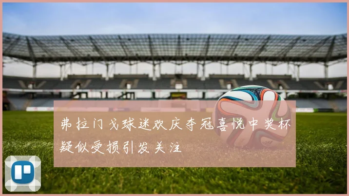 弗拉门戈球迷欢庆夺冠喜悦中奖杯疑似受损引发关注