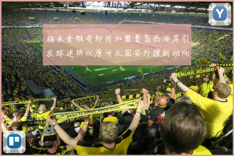 梅米舍维奇即将加盟青岛西海岸引发球迷热议原河北国安外援新动向