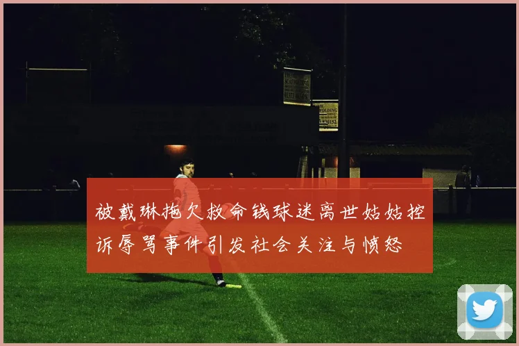 被戴琳拖欠救命钱球迷离世姑姑控诉辱骂事件引发社会关注与愤怒