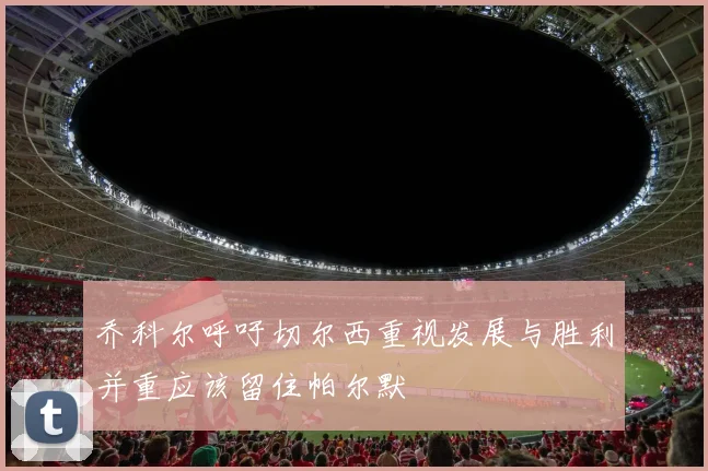 乔科尔呼吁切尔西重视发展与胜利并重应该留住帕尔默