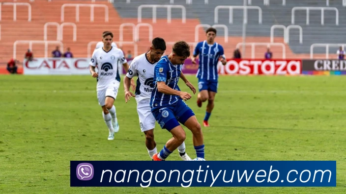 南宫体育发展历程